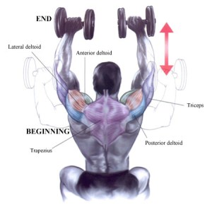 shoulder_press_with_fixed_dumbbells